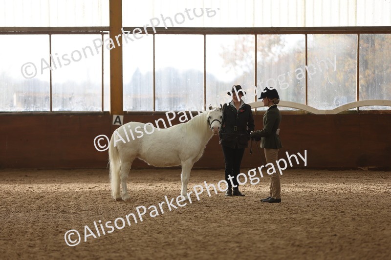 20251109-0555 - Class 21 - Mares 4 Years and over