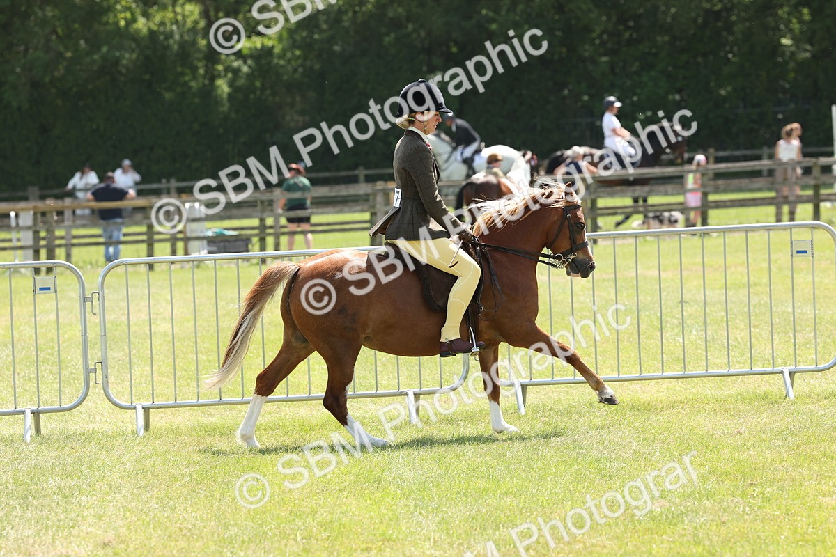 SBM_06739 - Class 26-30 - Mountain and Moorland Ridden
