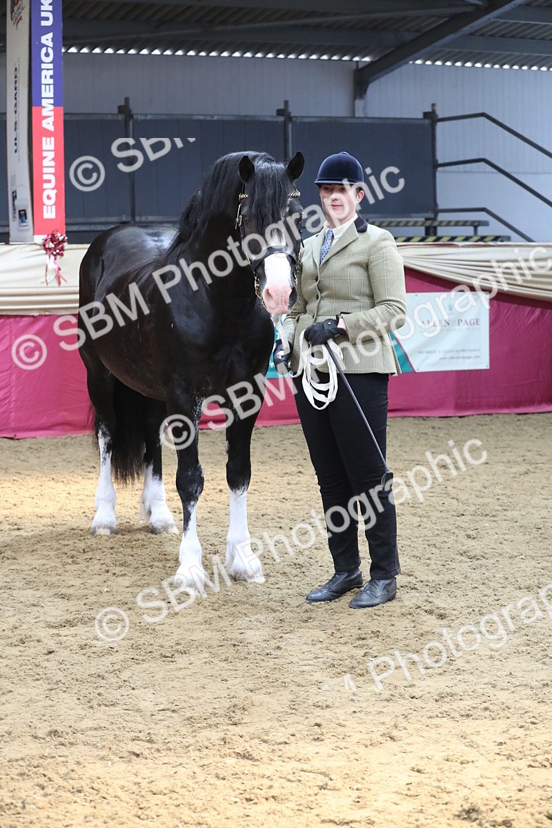 SBM_15388 - Class 501 M&M IH Supreme Final