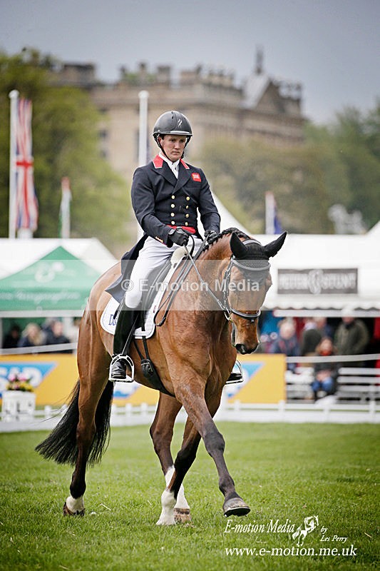 SO050519 4019a - Equestrian