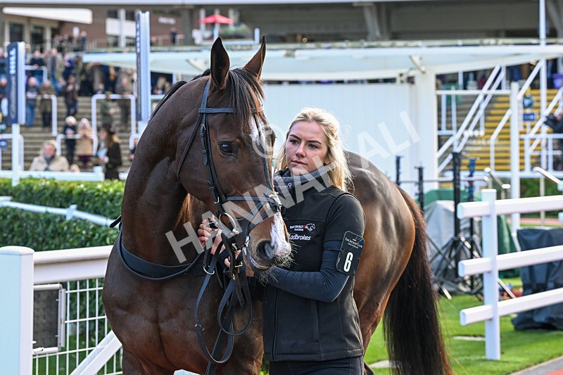 241025-Race 6-Dalston Lad-4733 - Race 6