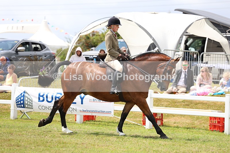 3E7A1946 - Class 10: Open Cob