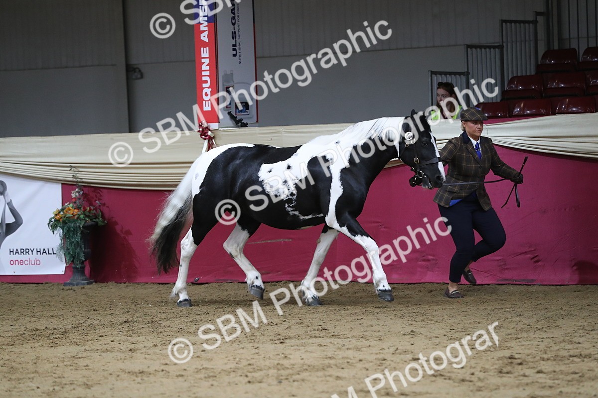 SBM_06306 - Class 9R Regional- IH Pre Vet