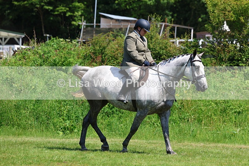 3E7A8170 - Class 13: Ridden Hunter