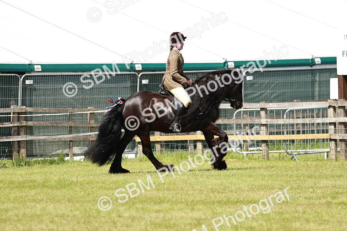 SBM_07123 - Class 26-30 - Mountain and Moorland Ridden