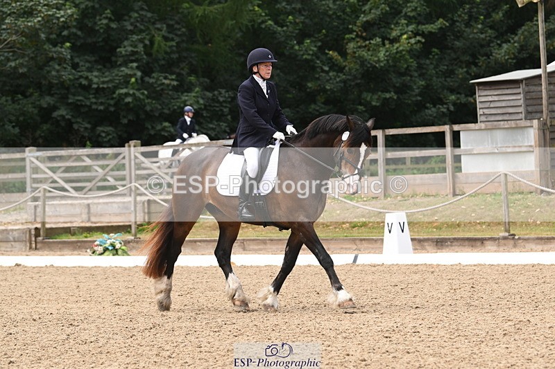 250720A-120154-10134 - 079-Amanda.Williams-Llanarth.Westminster