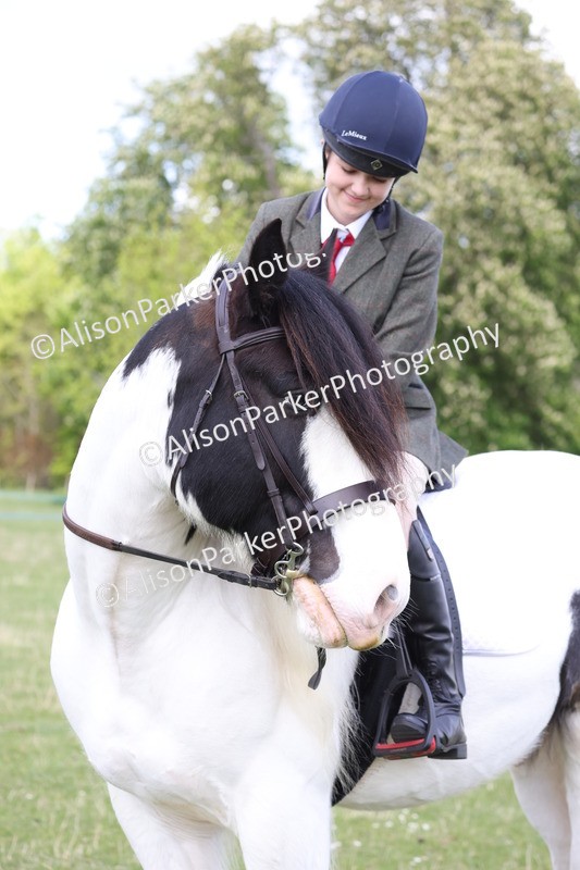 20250427-4093 - Class 34 - Best Riding Horse Over 14.2hh