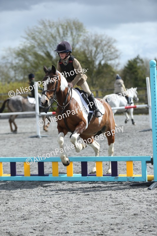 20260412-0729 - Show Jumping