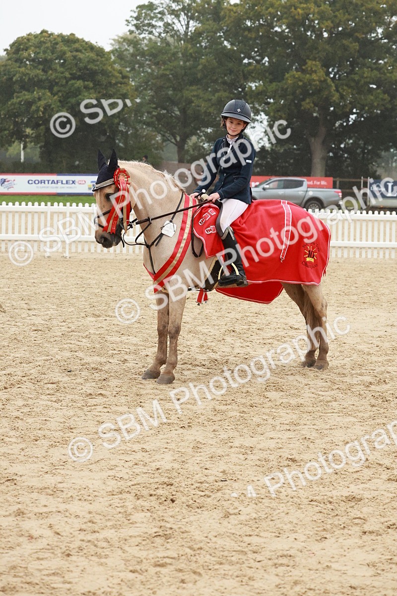 SBM_73538 - Supreme Championship Junior Pony 60cm & 65cm