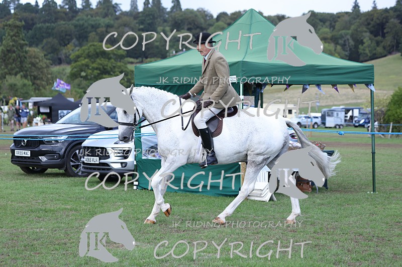 APP_4145 - Class 15a/b Pony club pony/Riding club horse