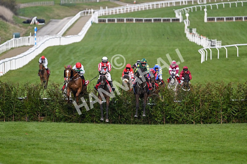 120325-Race 4-Stumptown-6950