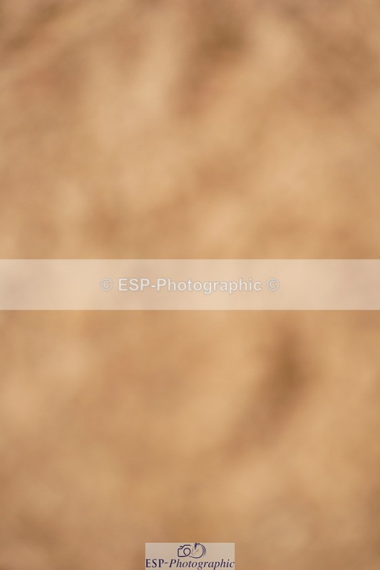 240526A-110958-07749 - Cls 26 Chard Equ 1.05m and 1.10m Grand Prix