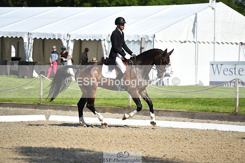 230525-094156-01648 - 307-PENHILLS_CANDY_MAN-Max_Warburton-WEDTrotUp+DR