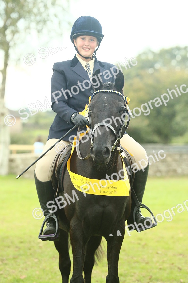 SBM_74149 - S 61 - Show Pony & Show Hunter Pony Ridden