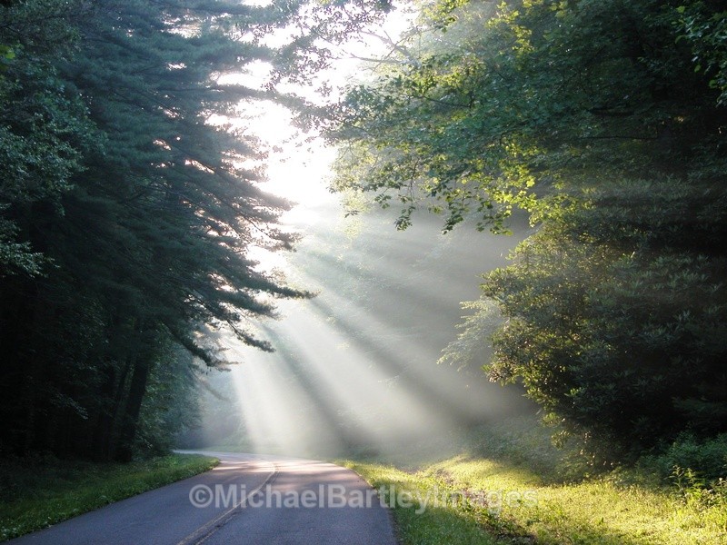 David's Road - Nature as Art