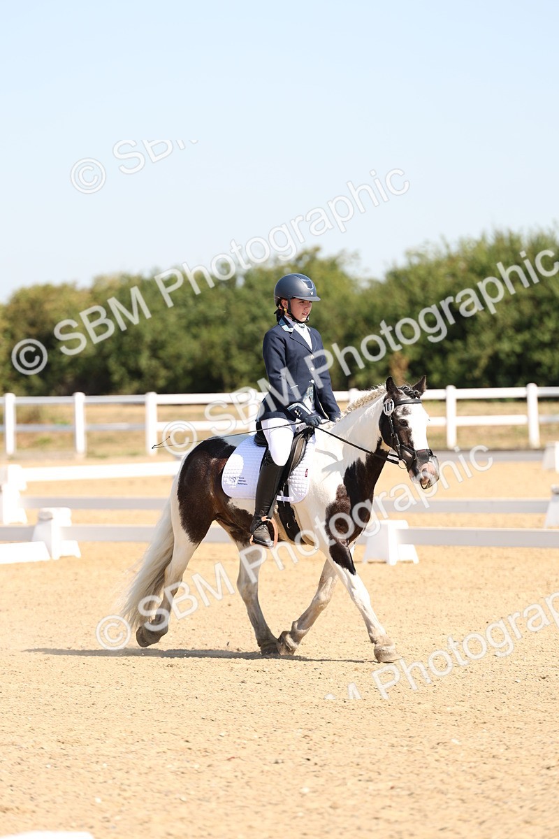 SBM_001029 - Intro 2