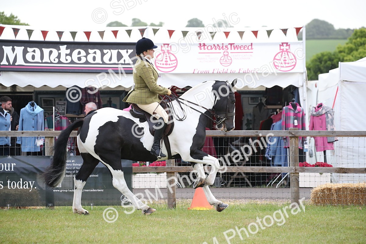 SBM_11068 - Class 92-93 - LIHS BSHA Rising Star Cobs