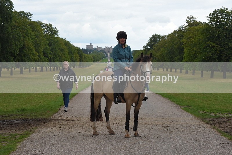 TT3_0021 - Time at Crossing 13:17 to 14:48