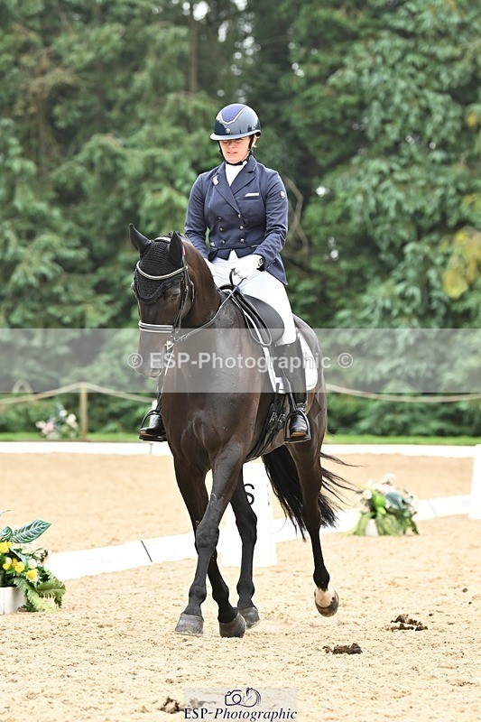 240811-115655-05302 - 118-Katie.Kneen-Springtime.Evergreen