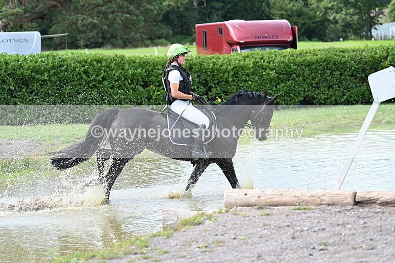 WJ7_1339 - Time 12:34 to 13:16