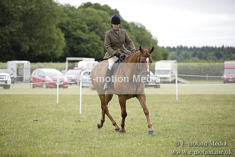 BVR160717-822 - Ring 1 BVRC Show 16/07/17