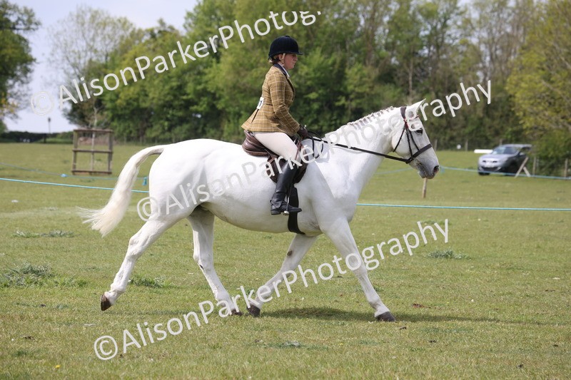20260426-4320 - Class 34 - Best Riding Horse Over 14.2hh