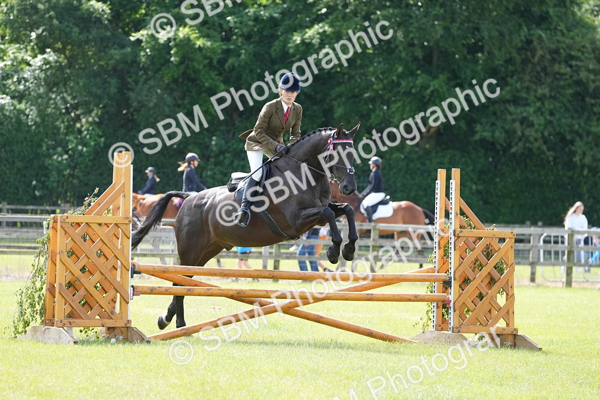 SBM_12882 - Class 99 - RIHS SEIB Working Show Horse