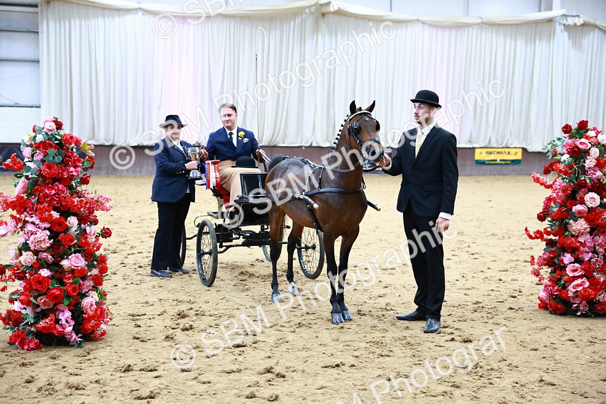 SBM_000688 - Class 9 - HHS Championship Intl Hackney Pony to a Showwagon
