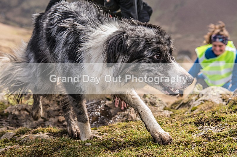 Causey Pike-501 - Causey Pike Fell Race Saturday 14th March 2026