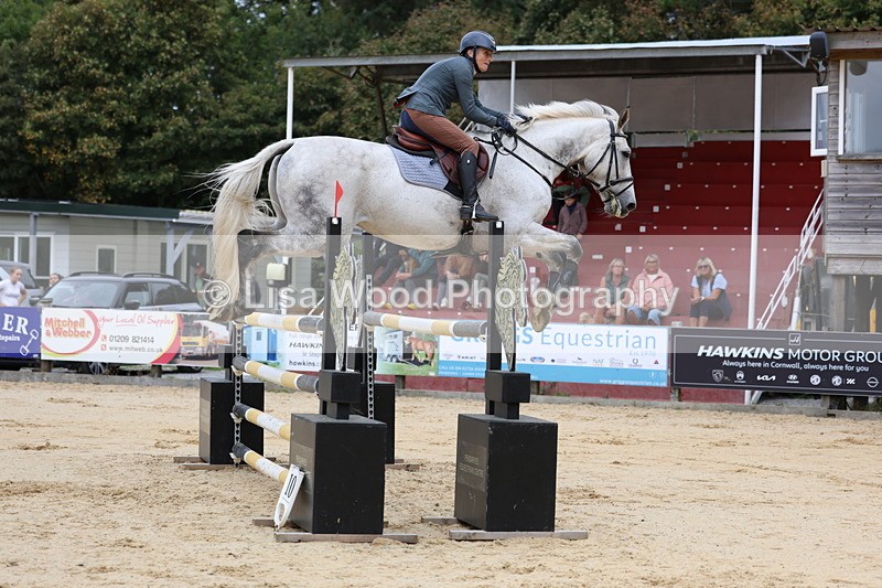 3E7A3244 - Class 9: Senior Foxhunter/1.20 open