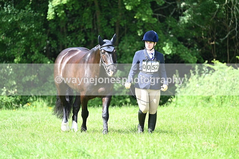 WJ7_0993 - Class 11 Condition & Turnout