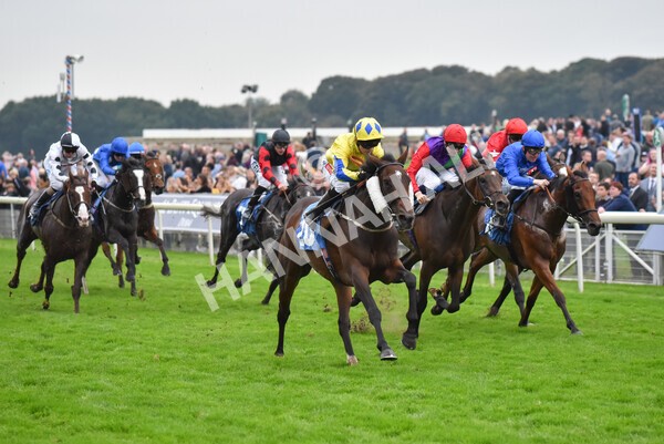 yr09102021r7-28 - Race 7 5.00pm Coral Proud Sponsors Of British Racing Finale Handicap