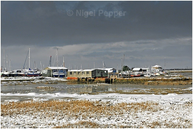 The Yacht Club - Snow Pictures