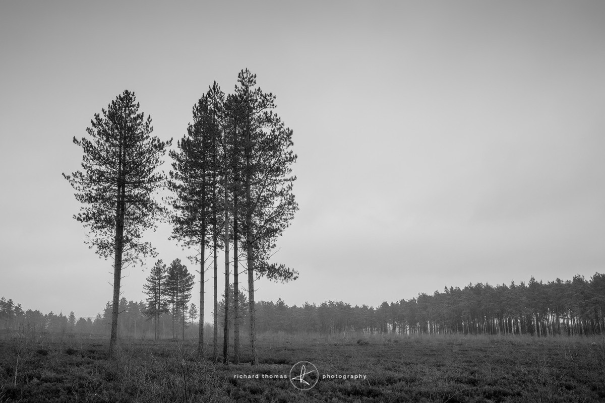 Bottle washers V - Bottlewashers