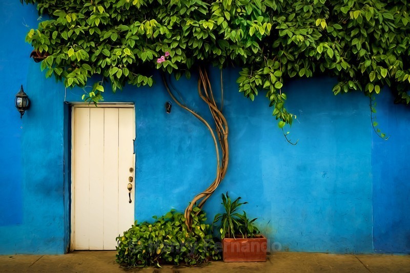  - Colours of Cartagena