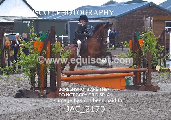 JAC_2170 - CLASS 2 Novice Working Hunter