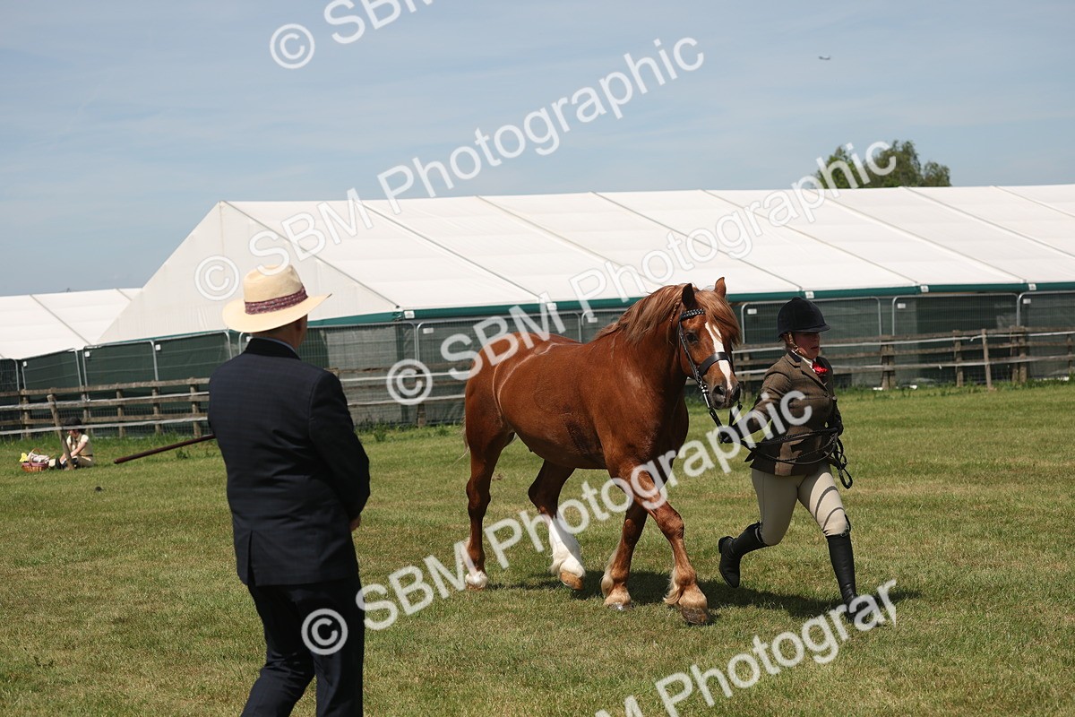 SBM_06984 - Class 26-30 - Mountain and Moorland Ridden
