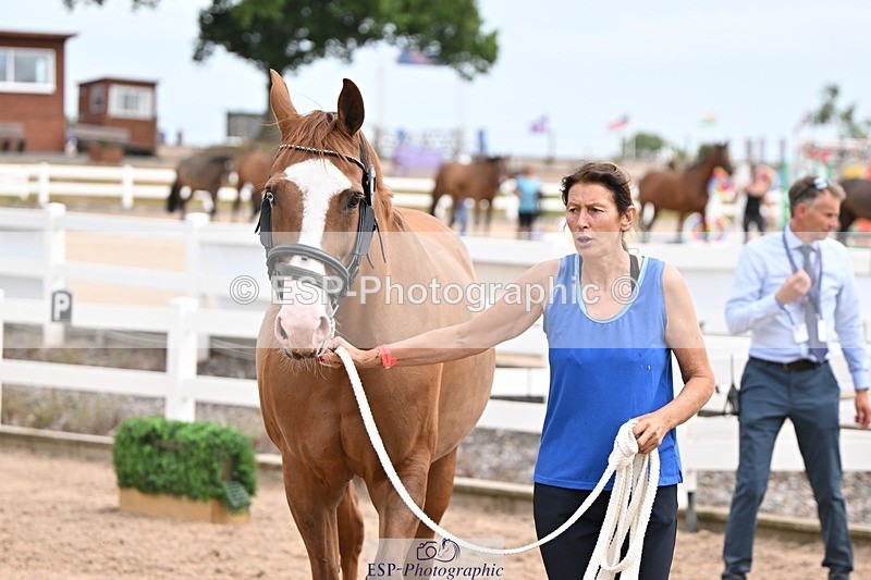 250716-150640-01633 - Trot Up 2.30 to 3.30