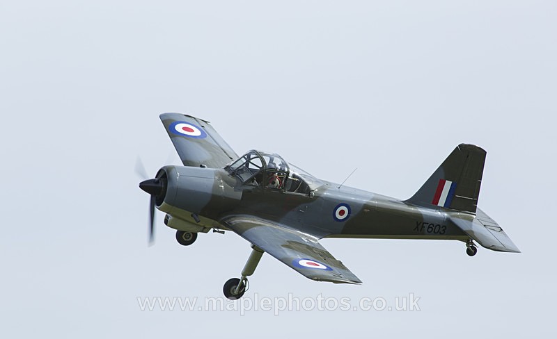 Piston Provost from Above