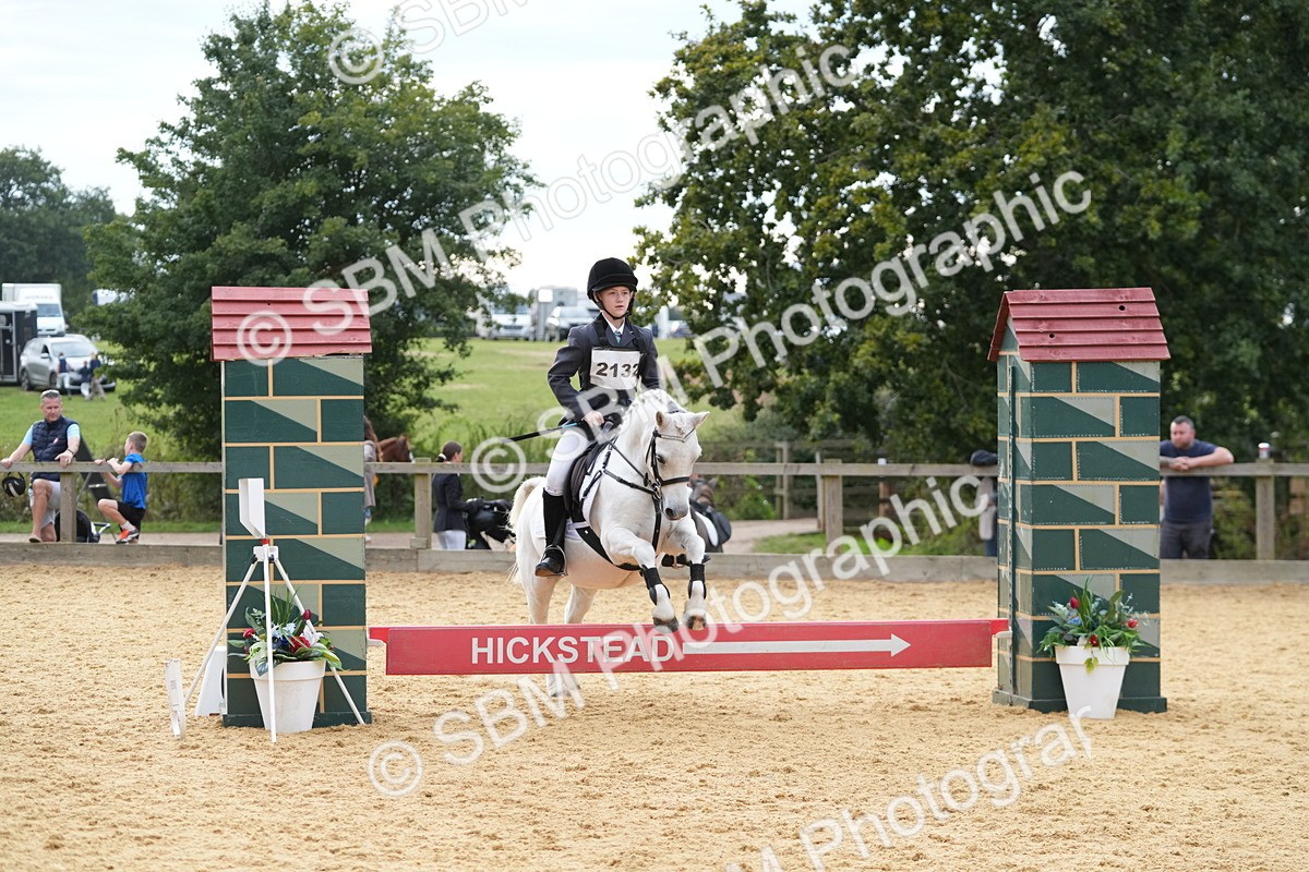 SBM_74781 - J4 - Mini Tour Junior Pony 45cm Championship