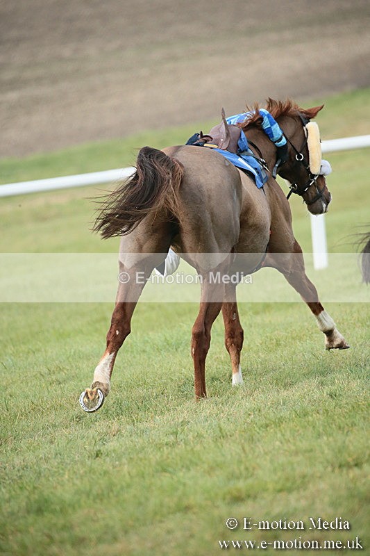 PtP 251118-75 - Vine & Craven Point-to Point Barbury Racecourse 25/11/18