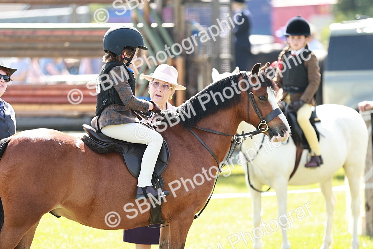 SBM_12727 - Class 106-107 - BSPS LIHS Working Sports Pony