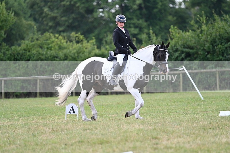 WJ7_5232 - Time 11:22 to 11:51