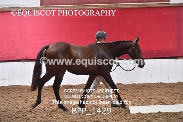 BPP_1429 - MORNING 9AM - 12PM