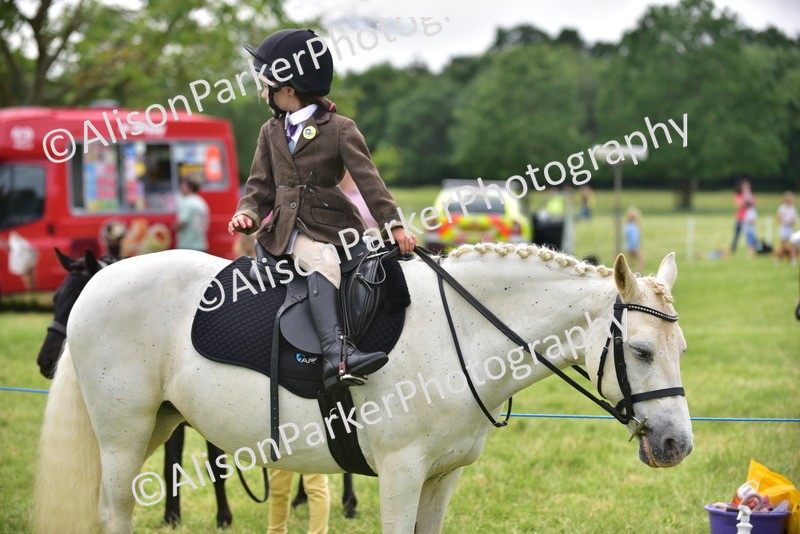 20260614-4231 - Class 17 - Best Mane and Tail