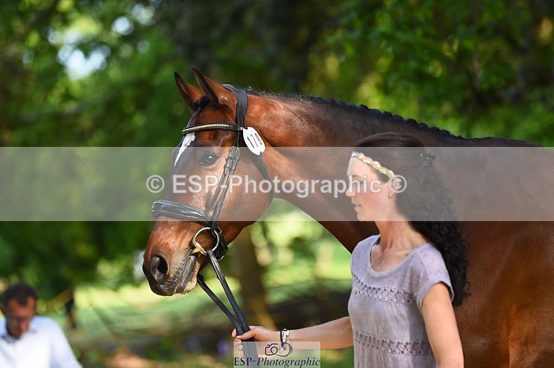 230524-172222-01474 - 179-JARSON-Charlotte_Agnew-WEDTrotUp+DR