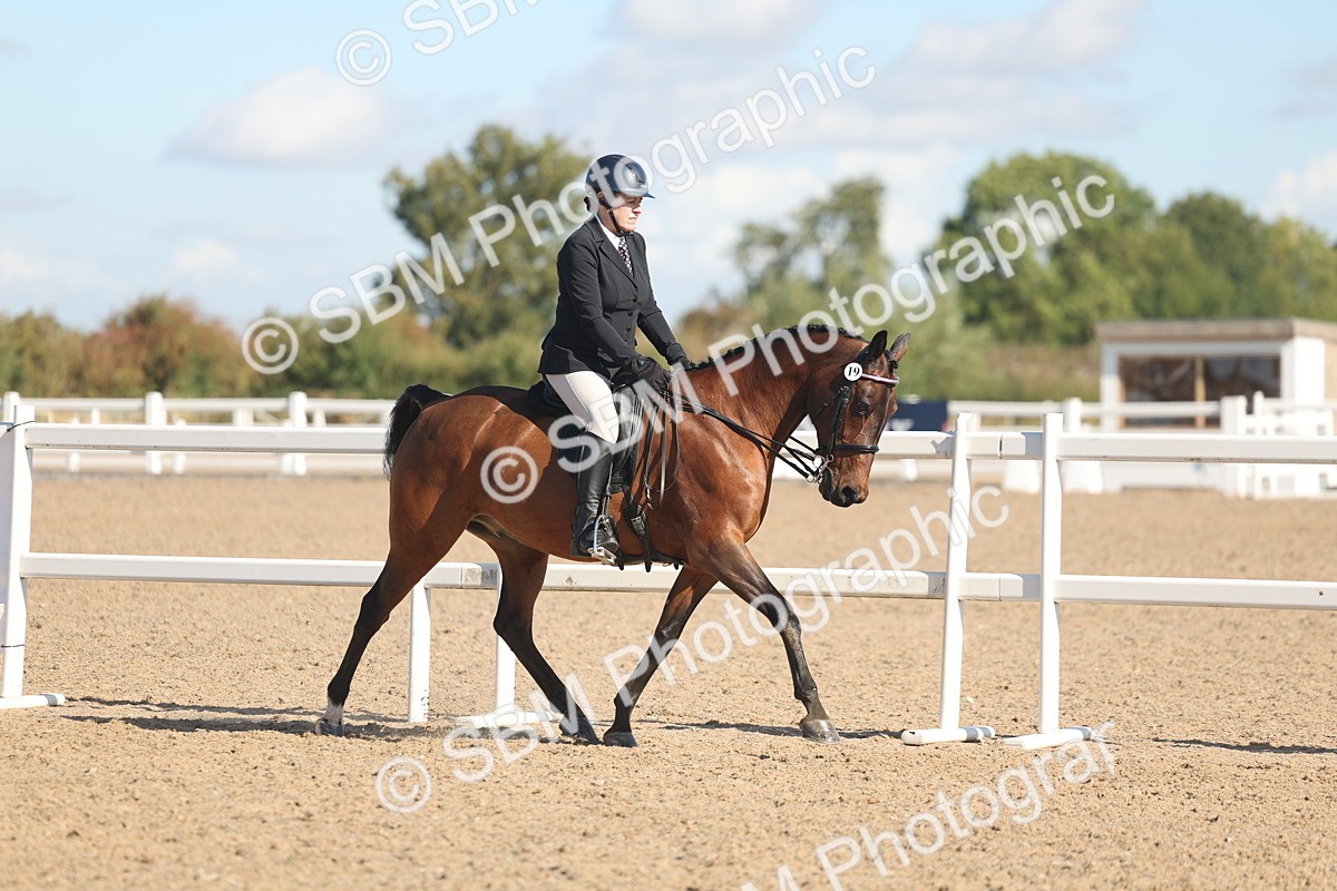 SBM_13003 - Class 305 - Ridden Foreign Breed Pure Bred