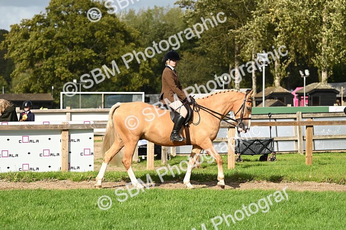 SBM_26290 - S6 - Novice & newcomer Ridden horse