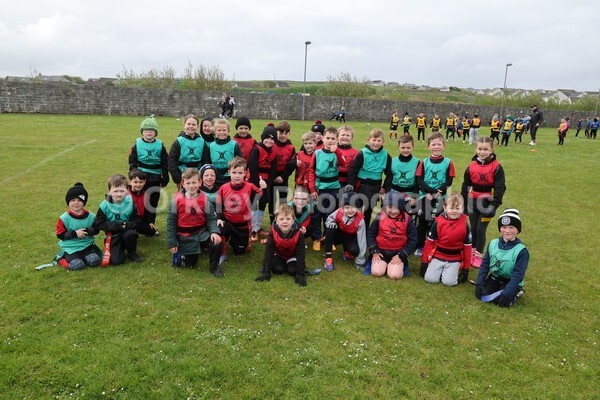 DAD12905 - Rookies/Mini Rugby on 7s Day