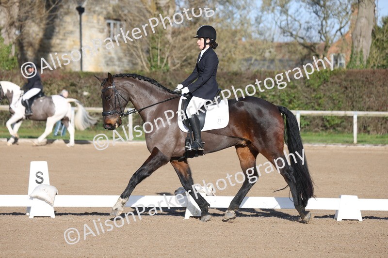 20260128-0226 - Class 3 - Novice 4